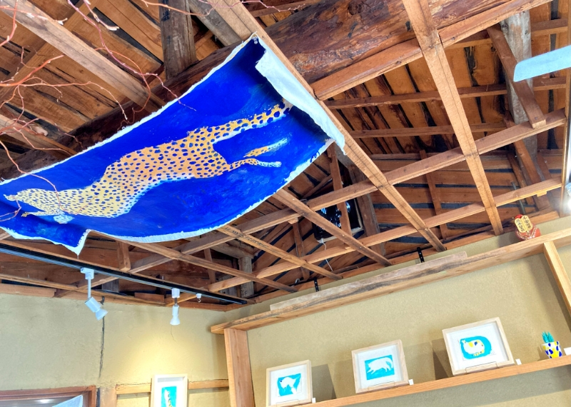 ヒトとネコと冬